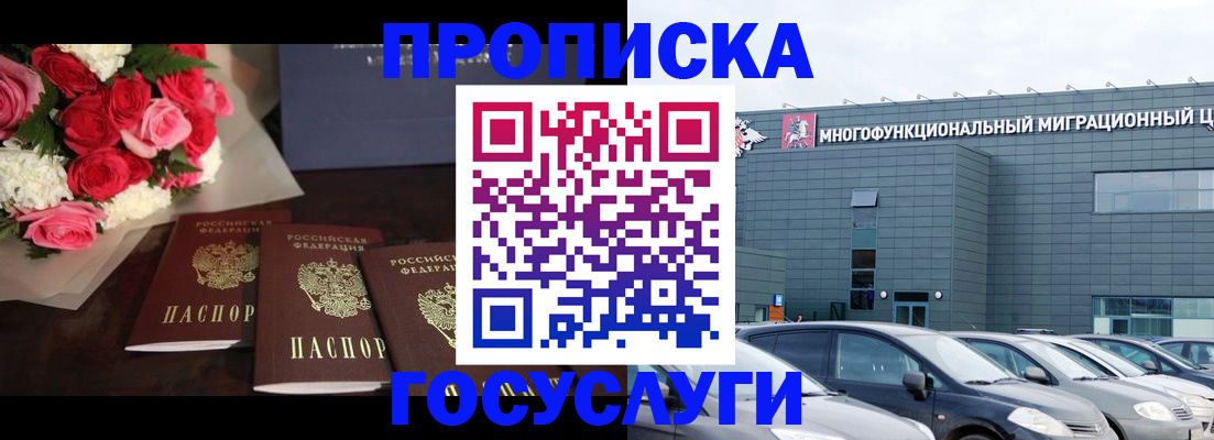 прописка законно в Камышлове